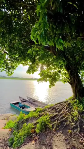 നഷ്ടങ്ങളെ ഞാൻ ഏറെ ഇഷ്ടത്തോടെ സൂക്ഷിക്കുന്നു.... കാരണം എന്റെ നഷ്ട്ടങ്ങളെല്ലാം അത്രമേൽ പ്രിയപ്പെട്ട എന്റെ മാത്രം ഇഷ്ട്ടങ്ങളായിരുന്നു..  നീ അടക്കം...  ഇനി മടങ്ങി വരേണ്ടതില്ല ഓർമ്മകളിൽ ഒരു ചിരി സമ്മാനിക്കുന്ന പ്രിയപ്പെട്ട നിമിഷങ്ങളായി അവ എന്നിൽ നിലകൊള്ളട്ടെ !! നിനക്കായി മാത്രം ശുഭദിനം🌹🌹🌹#صبح_بخیر #goodmorning #flute #nahrain #bahrain🇧🇭 #bgmtamil #രാജേഷ്ചേർത്തല 