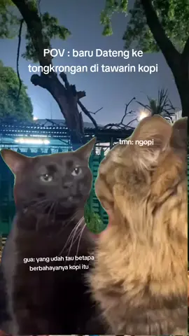 kopi seret🙂 #capcut #meme #fyp #fyp #kopihitam 