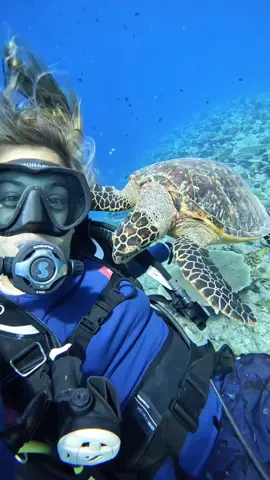 Having tasty gear wasn’t exactly the goal… but this turtle couldn’t resist a nibble.  “Moments I’ll never forget, how magical it is to feel this connection with animals in their natural habitat 🩵” - @franmarcante_  #scubapro #scubadiving #seaturtle #turtle #divelife 