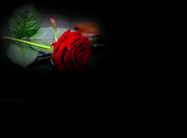 GOOD MORNING || LOVE ❤️  || ROMANTIC 😍 || ASUBUHI NJEMA. #mtiamoyo #ezekiamtiamoyo #romantic #viral #tanzania #tanzaniatiktok #tiktoktanzania🇹🇿 #tiktokkenya #kenyantiktok🇰🇪 #kenyantiktokers #tiktoktanzania #kenyantiktok #kenya #asubuhinjema 