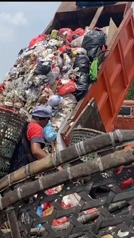 PEMULUNG REBUTAN SAMPAH DI BANTAR GEBANG. Pemulung Bantar Gebang langsung menyerbu sampah yang baru saja diturunkan dari mobil pengangkut sampah.  Rata-rata sehari masing-masing pemulung Bantar Gebang mengumpulkan 300-400 kg sampah.  Saat ini pemulung Bantar Gebang berjumlah 6.300 orang. Dengan jumlah sebanyak itu, pemulung Bantar Gebang mampu mengumpulkan 2000 hingga 3000 ton sampah sehari. #sampah #bantargebang #tpabantargebang #jakarta #indonesia #sampahjakarta #pedulilingkungan #lingkungan #garvitatv 