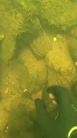 #underwater #treasure #fyp