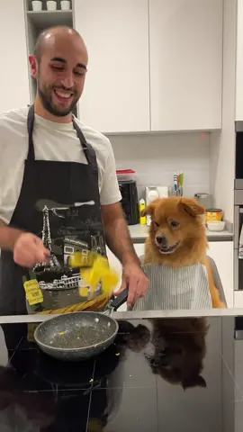 Cooking lesson 👨‍🍳🐕😂 #pumbastyle #fyp #dog #tiktokdogs #pet 