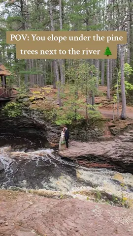 POV: You elope under the pine trees next to the river ❤️🌲 planner & officiant: Lace & Brass Events photographer: Finch & Mae Photography florist: Flora North  #destinationwedding #destinationweddingplanner #minneapolisbride #WisconsinWeddingPlanner #minnesotaweddingplanner #Weddinginspiration #realweddings #Wisconsin #northernwisconsin #wibride #WisconsinWedding #wiwedding #weddingplanning #laceandbrassevents #lakesuperiorelopement #lakesuperiorwedding #lakesuperior #elopinginwisconsin #wisconsinelopements #allinclusiveelopementpackagewi #eloping #wheretoelope #fyp #foryoupage #elopementadventure  #wisconsinelopement #Weddingtok #elope 