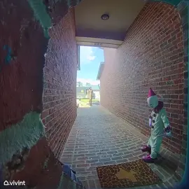 #daggermike strikes again! This time the UPS guy! Glad he had a good sense of humor about it! He wanted a copy of the video! 🤣#spirithalloween #halloween #scared #vivintdoorbellcamera 