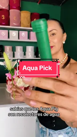 Que son los aqua pick y para que sirven #greenscreen #flowershower #floresguayaquil #florist #flowerarrangementtiktok #flowerarrangementtiktokhack #flowerarrangement #ecuador #flowerarranging #asmr #guayaquil #asmrtiktoks #talent #telocuentoentiktok 