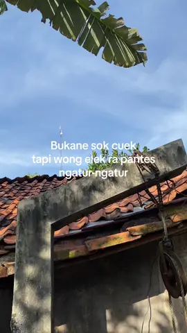Konsepe kan ngono?