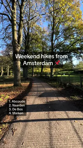 #amsterdam #walks #hikes #travel #countryside #netherlands #fall #weekend for more Amsterdam tips hit up ➡️micorner.org
