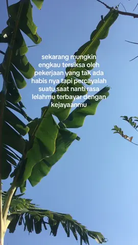 Tidak ada yg tidak mungkin selagi kita masih berusaha untuk mencoba #fypシ #bismillahfyp 