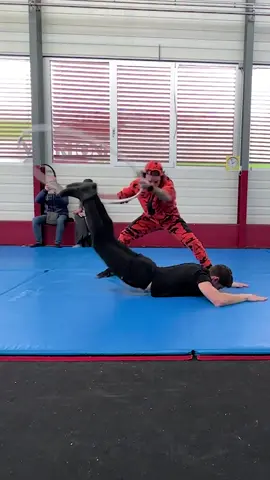 Most times to perform the worm dance move through a hoop in 30 secs 🪱 30 by Quentin Greco 🇫🇷 and Dylan Herrera 🇨🇭 #breakdance #bboy #wormdance #guinnessworldrecords 