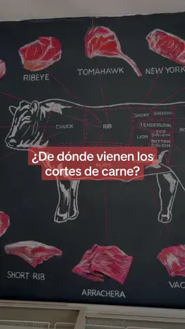 ¿Ya sabías de dónde provienen tus cortes de carne favoritos? 🥩🤤 . . . . #bakcortesfinos #cortesdecarne #CarneAsada #datoscuriosos 