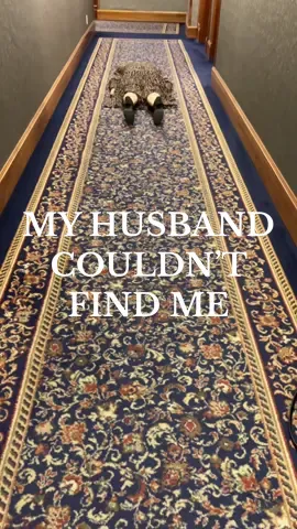 Tricked him. #surpriseimrighthere #husbandandwife #trickingmyhusband #wifejokes 