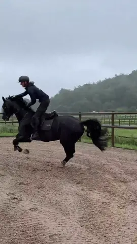 New video after a long time🙈.. #equestrianvibes #blackhorse #blackbeauty #showjumping #horse #cavallo #equestrianlife #showjumpinghorse #edit #italy #polish #horsepower #hunedit #vagtazzonforyouba #bellissimo #equestrianman #jump #riding #jumpinghorse 