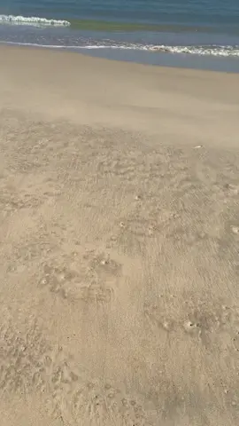 These are the moments I want my son to remember just like when I was a kid. Driving on the sand, soaking up the sun, and enjoying life with endless laughter ☀️👌🏼 #fyp #fypシ #doubleislandpoint #doubleisland #4x4 #sanddriving4x4 @Neil Jarasrit 