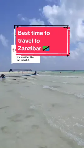 Respuesta a @luanaeri Make sure you subscribe to my YouTube channel for more travel information about Zanzibar! 🌺🇹🇿 The link is in my bio 🤗 #besttimetotravel #bestmonthstotravel #zanzibardestination #visitzanzibar🇹🇿 #visitzanzibarisland #zanzibar🇹🇿 
