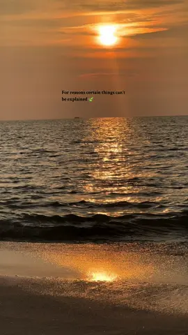🍃 #fyp #fypシ #fypシ゚viral #fypage #foryou #foryoupage #foryourpage #perazhagan #tamil #tamilmuser #tamilbgm #tamilsong #tamilsadbgm #tamilstatus #yuvan #yuvanshankarraja #yuvanism #yuvanbgm #sunset #sunsetlover #quotes #quotesaesthetic #asthetic #Love 