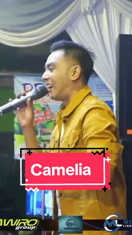 Bagian 54 |  CAMELIA - GERRY MAHESA #gerrymahesa #camelia #panama #panamaaudio #panamamultimedia #pmaudio #pawirogroup  #dangdut #dangdutkoplo #dangdutjawatimur #orkesjawatimur #orkesmadiun #trending #viralvideo #berandatiktok #fyp #fypシ 