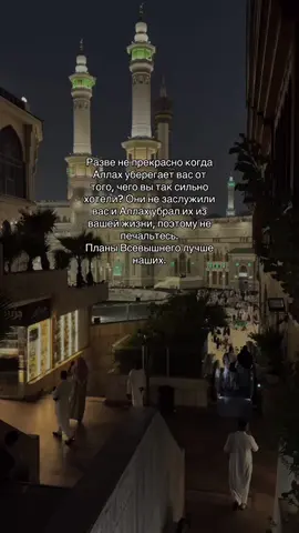 разве не прекрасно? #ислам_религия_мира_добра #islamicquotes #islamicreminder #uzb  #beautyofislam #palestineslivesmatter 