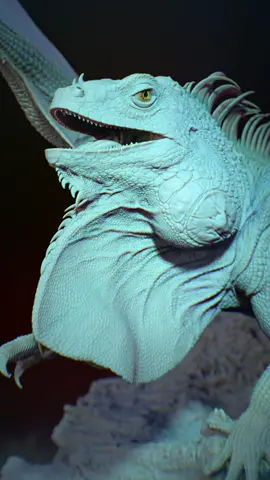 Hello my friends! I am very excited to share with you the first animation test of our Draguana model for the Shortfilm project. It literally melts my heart seeing this magical creature slowly comes to life... Like something is being born in your hands. But there’s also so much work to do in future to make the shortfilm happen. ✨Next step - working on the textures and color for him. For now our team of 4 people working on this completely on enthusiasm in our free of work time. ✨ I want to say huge thank you to @truongcgartist , who hold my hand and guided me through all rigging processes as it was completely new thing for me. I never did it before. Without your help - it would never turn out this good. Thank you my friend!  🧡If you would like to support our project - here’s our patreon. Any little bit - counts! https://www.patreon.com/DragonandMe . #Dragon #reptile #zbrush #lizard #sculpt #iguana #vfx #sculpting #3dart #motiongraphics #dragonandme #eye #maxon #maxonzbrush #redshift #redshift3d #zbrushcentral #maya3d #rigging #ragdolldynamics