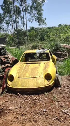 Ferro velho abandonado cheio de carros antigos! #curiosidadesautomotivas #curiosidades #foryoub#ferrovelho