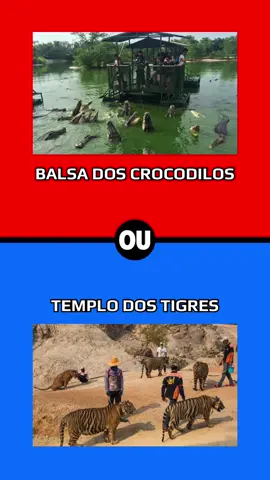 Faça sua escolha nos comentários #quiz #animais #animaisperigosos #animalplanet #qualvoceprefere #oquevoceprefere #enquete #perguntas #escolha 