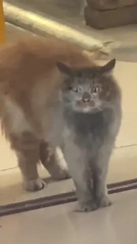 😳