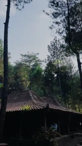 Sapa yang tau tempat ini kawann? #cangkruk #ngopisantuy 
