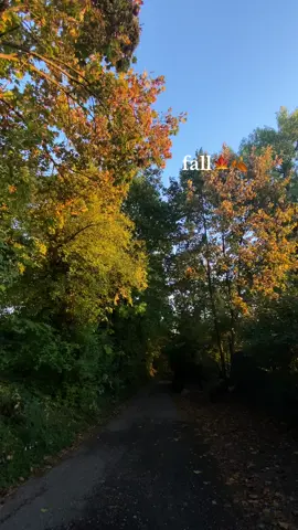 best fall playlist🍁(not mine) https://spotify.link/Nh2vzD9XVDb #rainyday #fall #fallishere #falliscoming #fallishere🍁🍂  #morninginfall #morningsinfall #rainymorning #favoriteseason #favoriteseasonoftheyear🍁🍂 