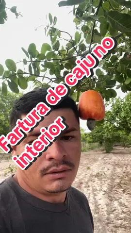 #foyou #video #interior #caju 