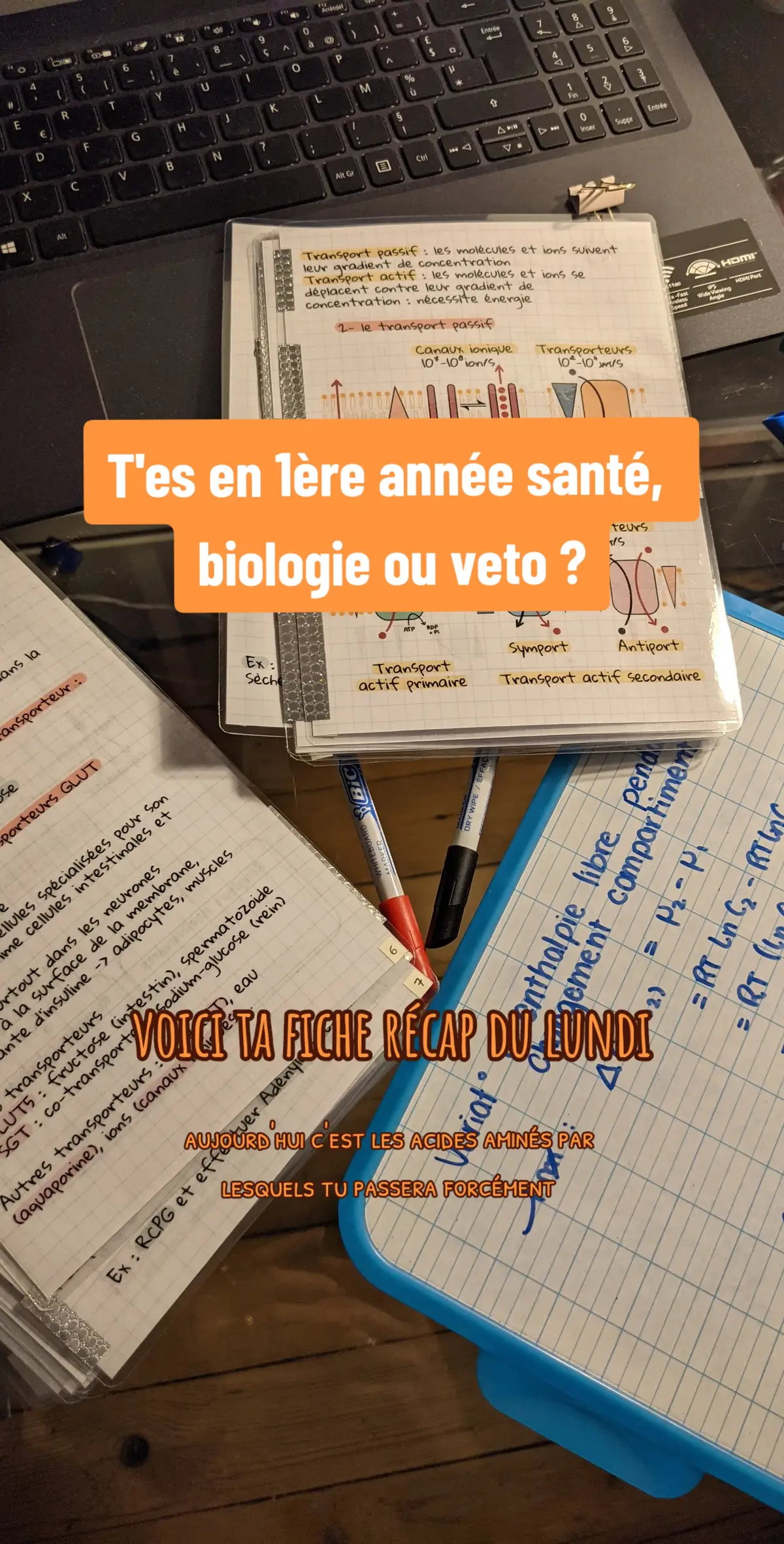 Unité de base des protéines, même certains profs t'avoueront qu'ils ne les connaissent pas mais faut y passer un jour ou l'autre  #fiche #recap #lundi #acideaminé #proteine #fichederevisions #revision #studytips #studygram #studywithme #study #universite #fac #licencebiologie #vet #medecine #vetmed #etudesuperieures #etudesup #etudiant #student #studytok 