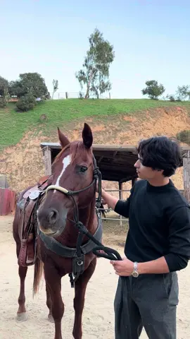 #MySauvageCall  The call of the magic hour spending time with the horses and wearing Sauvage Eau De Parfum. #DiorSauvage @Dior beauty #DiorBeautyLovers