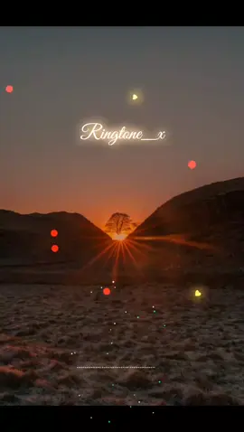 New Love Ringtone | New Romantic Song Ringtone | World Best Flute Ringtone | Popular Song Ringtone 🎵  || Ringtone_x  #ringtone__x #music #viral #trending #crushing #satisfy #رنة_موبايل 