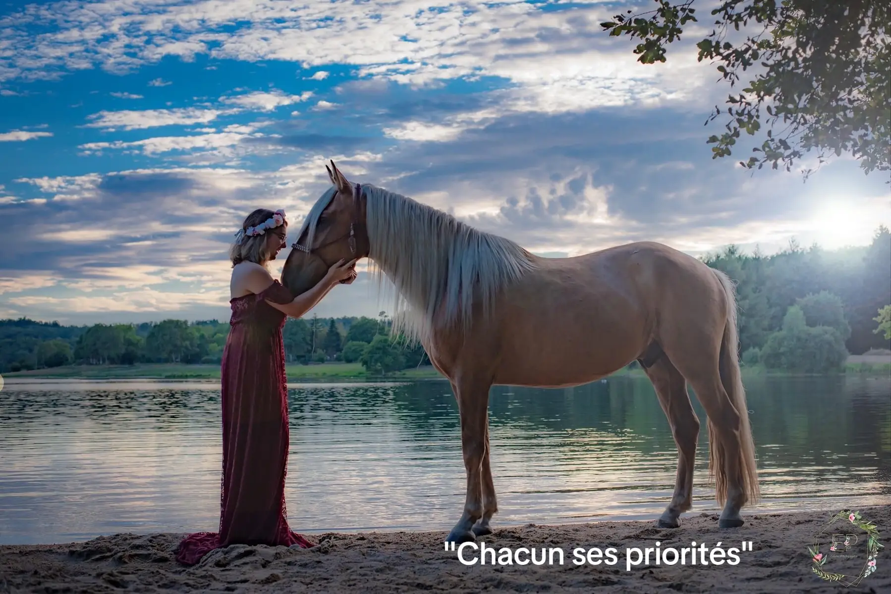 Ce sont eux les miennes ♥️🐴 #horselover #trend #viral #cheval #cavalier #fyp 