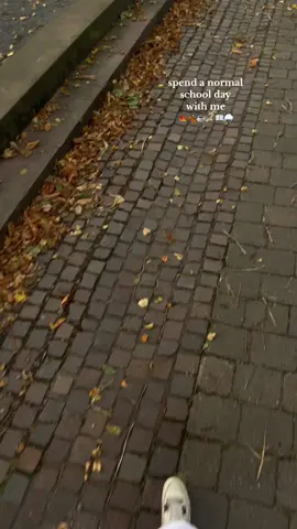 spend a school day with me  17.10.2023🍂🍁🫶☕️ #rainyday #spendadaywithme #vlogs #vlogging #fall #schooldays #spendaschooldaywithme #videodiary #afterschool #afterschoolroutine 