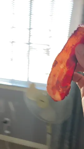 When your lovely man brings you shower bacon 😃 #bacon #bacontime #baconhair #showerbacon #shower #Love #bestboyfriend #bestboyfriendcheck #ilovebacon #baconlove #baconlover #mortgagebroker #mortgagetips #mortgage #mortgages 
