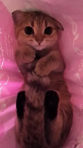 🥰