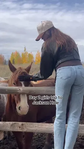 Day 2: Horseback riding at the Spring Creek Ranch in Jackson Hole🐎 I love riding so this was definitely my favorite thing we did- even though yes my horse got kicked and we all had a scare but all was well🙏🏼 I love trail riding but of course there are risks. Still my favorite thing we did though! #girlstriip2023✈️ #horsebackriding #jacksonhole #trailriding #girlstrip #collegereunion #bestiesfortheresties 