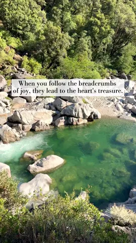 Are you brave enough to follow? #spiritualtok #messagesfromtheuniverse #messageforyou 