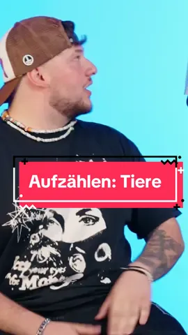 Schildkröte neues Säugetier #brudi #funk #aufzählen 