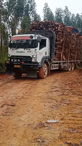 #drivermuda #pekanbaru #anakrantau #pekanbaru24jam #bujang,ayah#fypシ゚viral 