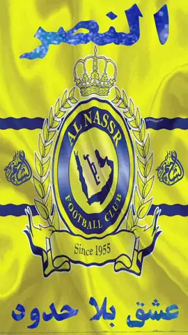 #شيلة النصر_