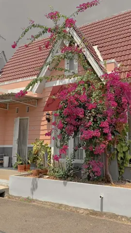 home sweet home 💕 #Home #house #smallhouse #cottagehome #ghiblihouse #aesthetic 