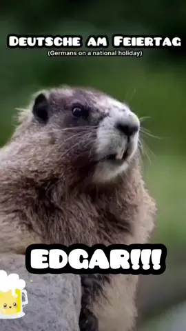 #edgar #witzig #lustig #lachen #tiktokdeutschland #deutschememe #detsdeutschememes #meme #memes #feiertag #bier #beer #lol #lmfao 