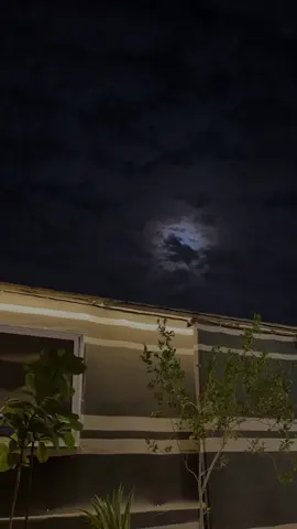 خُذني إليكَ؛ فإنَّ قلبي مُوجَعٌ، ومَدامِعيْ جَفَّتْ، وروحي مُتْعَبَةْ . ومَنِيَّتي -يا رَبِّ- أمسَتْ مُنْيَتي، فالعيشُ دونَ أحِبَّتي.. ما أصعَبَهْ...#الطير_الحزين #الم_الفراق #رحمك_الله_يا_فقيدة_قلبي 