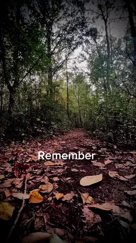 Get off the couch and get lost in nature ⛰️🥾 #Hiking #Outdoors #nature #woods #explore #exploring #natgeo #backpacking #hiker #foraging #mushrooms #foryoupage #backcountry #naturephotography #outside 