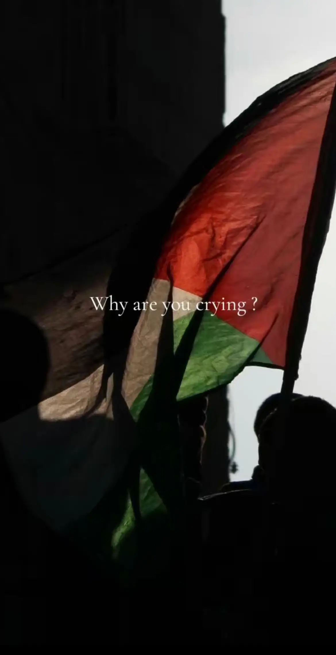 They dont deserve this #foryou #viral #fyp #palestine 