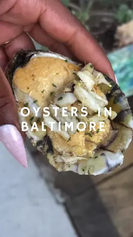 Since oyster girl has the world craving oysters, resharing this video from last year. Read the caption for a few more recommendations and happy slurping. 🦪💕 A few oyster spots in Baltimore City: 🦪 Dylan’s Oyster Cellar 📍 3601 Chestnut Ave for raw oysters  🦪 The Local Oyster (multiple locations) for lots of options! Raw, steamed, and baked oysters available  🦪 Angie’s Seafood 📍 1727 E Pratt St Baked Oyster Justice 🦪 The Urban Oyster (farmers markets wne pop ups) for chargrilled oysters A few more (updated with a few more): Ash Bar at Hotel Ulysses  True Chesapeake  Mama’s on the Half Shell Nick’s Fish House  Nola Seafood and Spirits #oysters #baltimorerestaurants #recommendations #baltimorefoodblogger #baltimorecity #oystergirl 