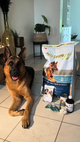 Bénéficiez de -10% avec mon code FALCO sur le site d’@Ultra Premium Direct 🐶 #bergerallemand #germanshepherd #foryoupage #fyp #dogoftiktok #pourtoipage #ultrapremiumdirect #ultrapremiumcollection 