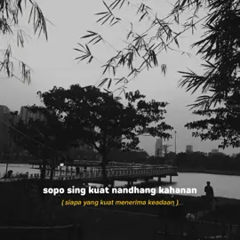 jeruu😔🥀 #sadvibes #dalanliyane #happyasmara #jowopride #lagujawa #lirikterjemahan #liriklagu 