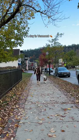 An actual dream. Stowe is magical 🍂